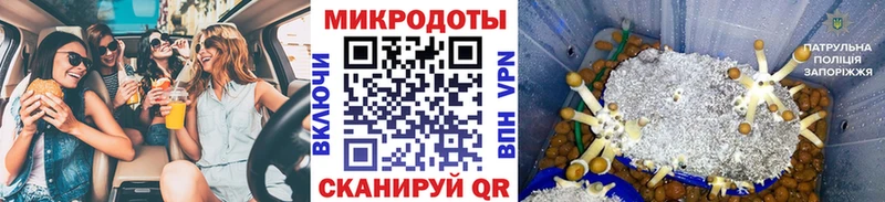 Купить где Кольчугино Псилоцибиновые грибы ЛСД