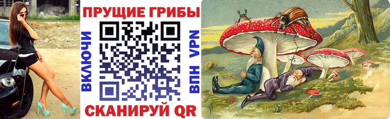 Галлюциногенные грибы Psilocybe Кольчугино