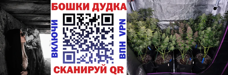 Шишки марихуана тримм Купить закладки Кольчугино